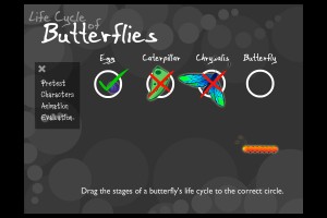 butterflies8    